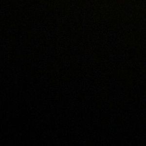 Meet your Posher, Reagan